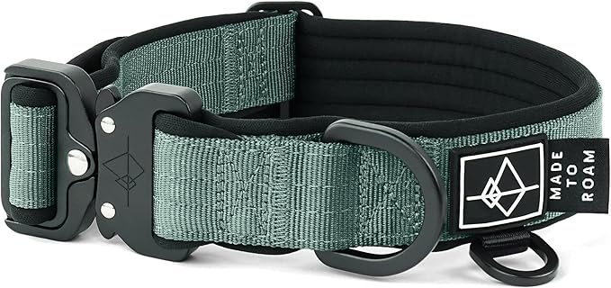 MADE TO ROAM Comfort Collar - Adjustable Nylon Dog Collar with Soft Comfortable Padding, Light Aviation Aluminum Metal Buckle for Small, Medium and Large Dogs (Florida Seaside, Size 0)