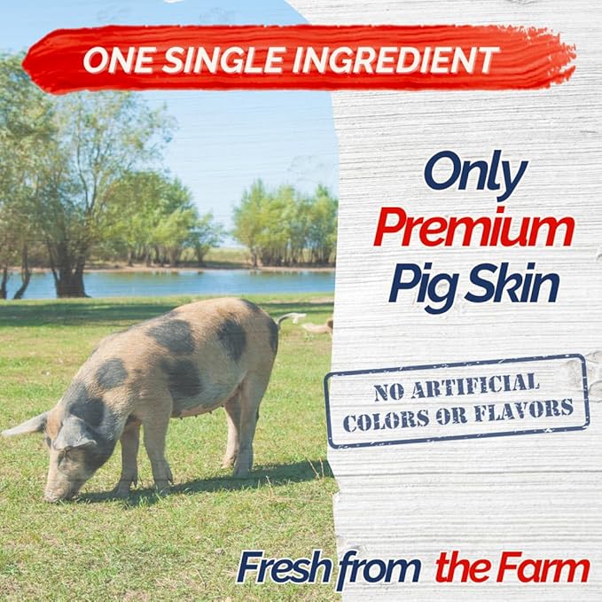 6 Pack 10-Inch Pork Skin Rolls – Natural Dog Chews for Medium and Large Dogs – Long Lasting, Raw Hide Free, Highly Digestible Treats for Aggressive Chewers – Oven Roasted