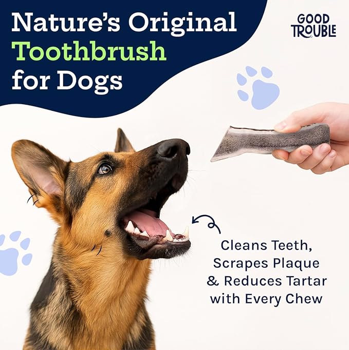 Good Trouble Premium Elk Antlers for Large Dogs – 2 Pack Split - All-Natural, Shed Antler Chews for Dental Health & Calming - Durable Dog Bones - Cruelty-Free, North American Sourced