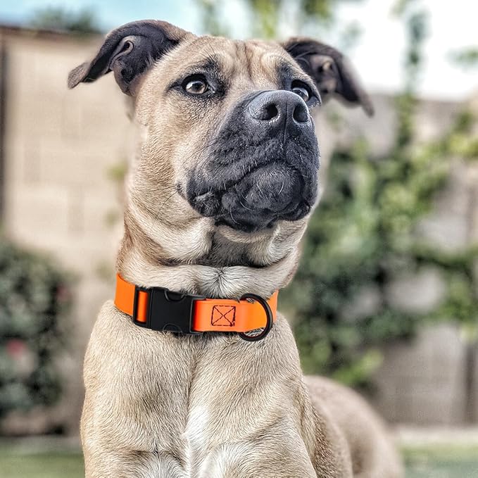 Dogline Durable Biothane Waterproof Collar for Dogs - Odor-Resistant Coated Webbing, Quick-Release Design, Comfortable Adjustable Fit, 5/8" W by 10-14" L, Hunter Orange