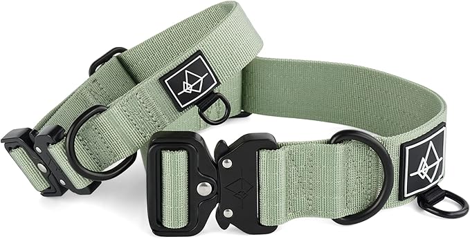 Made to ROAM Premium Dog Collar - Adjustable Heavy Duty Nylon Collar with Quick-Release Metal Buckle (Washington Rain, Classic Size 0)