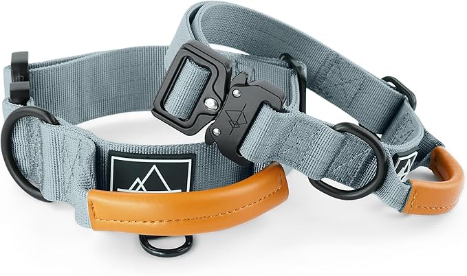 ROAM Made to ROAM Premium Explorer Control Collar - Adjustable Heavy Duty Nylon Dog Collar with Quick-Release Metal Buckle and Leather Handle (Virginia Mountains, Size 2, Control)