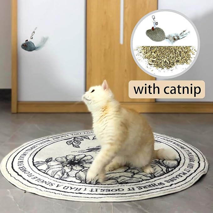 MikiLim Cat Feather Toy Refills for Cat Wand 5-Pack Undyed Natural Big Feather Cats Wand Attachment Replacement with Bell,Clasp 2PCS Extension String