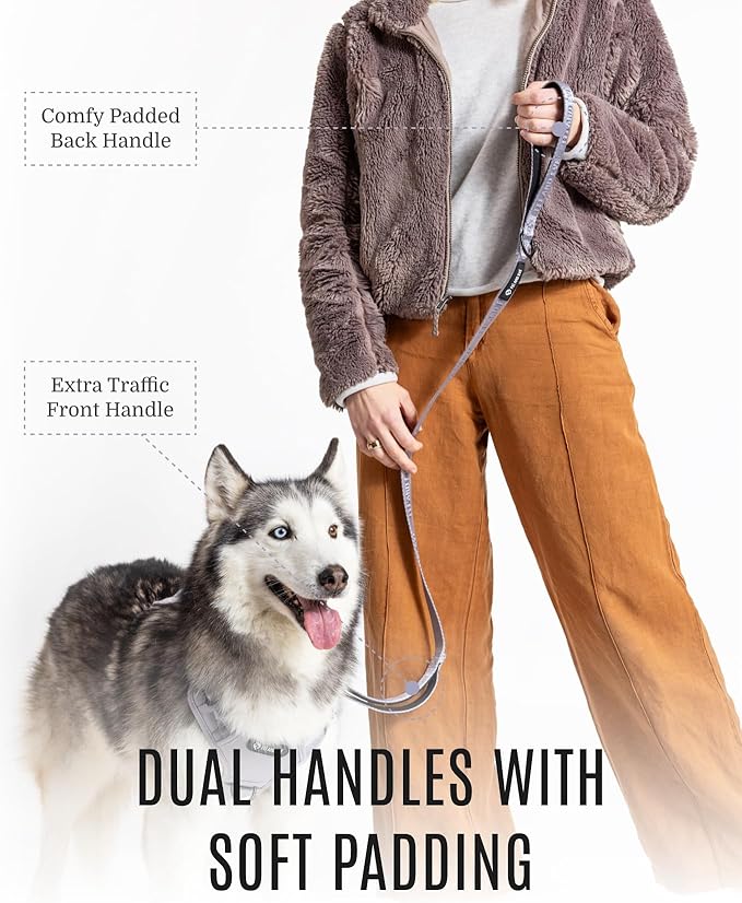 2025 New Edition, Fei & Eve Classic Dog Leash - 4FT, Dual Padded Handles, 360° Swivel Hook, Heavy Duty 210D Nylon - No-Pull Design with Traffic Control Handle - for Small/Medium/Large Dogs, Gray