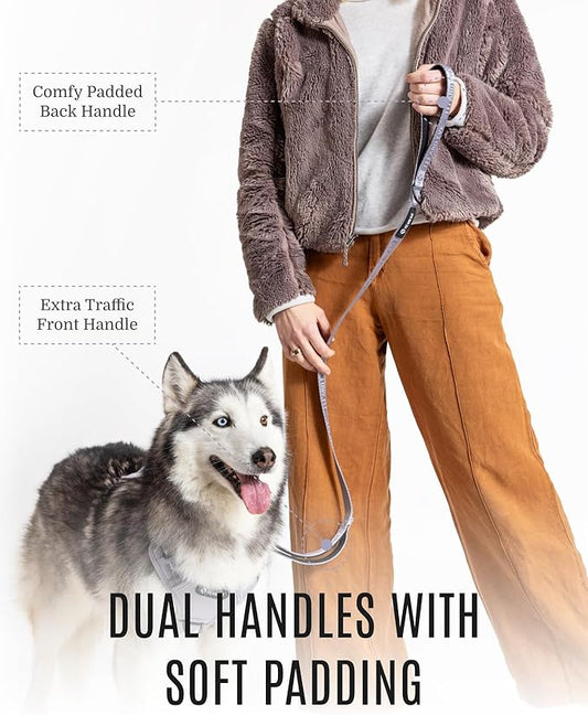 2025 New Edition, Fei & Eve Classic Dog Leash - 4FT, Dual Padded Handles, 360° Swivel Hook, Heavy Duty 210D Nylon - No-Pull Design with Traffic Control Handle - for Small/Medium/Large Dogs, Gray