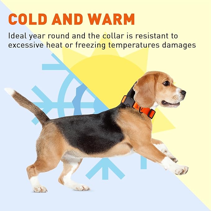 Dogline Durable Biothane Waterproof Collar for Dogs - Odor-Resistant Coated Webbing, Quick-Release Design, Comfortable Adjustable Fit, 1" W by 15-25" L, Hunter Orange