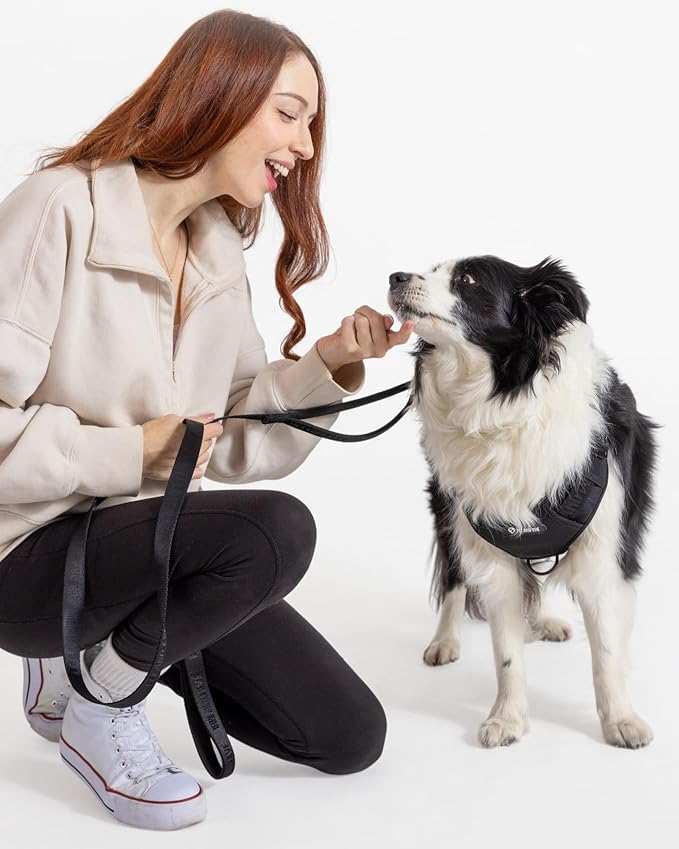 2025 New Edition, Fei & Eve Classic Dog Leash - 6FT, Dual Padded Handles, 360° Swivel Hook, Heavy Duty 210D Nylon - No-Pull Design with Traffic Control Handle - for Small/Medium/Large Dogs, Black