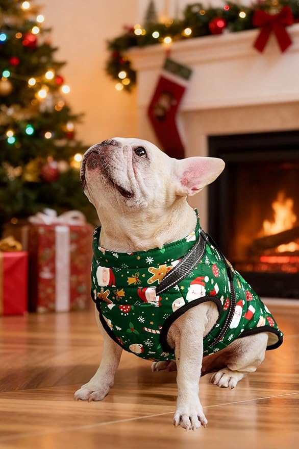 Aiboria Dog Jackets for Winter Windproof Waterproof Vest Fleece Warm Dogs Coat with Belt Christmas Green 3XL