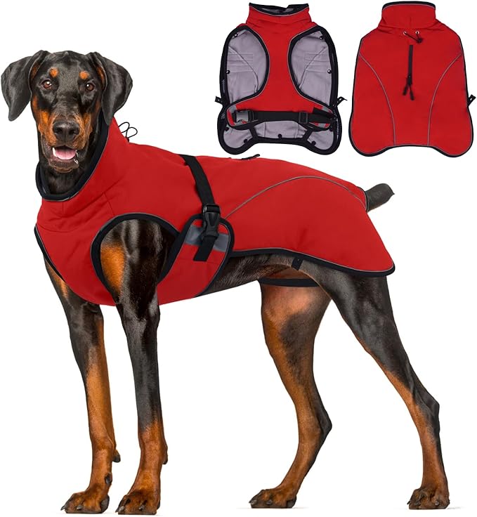 QBLEEV 2 in 1 Dog Coat, Waterproof Dog Winter Jacket with Detachable Fleece Vest, Windproof Warm Snow Jakcet with Harness Hole, Reflective Cold Weather Coats for Small Medium Large Dogs