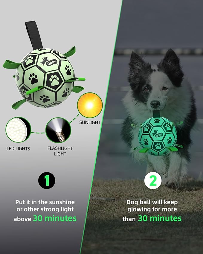 QDAN Premium Dog Ball, Glow in The Dark Dog Toys, Light Up Soccer Ball for Dogs, Outdoor Dog Toys, Doggy Water Toy, Puppy Birthday Gifts for Small Medium (6 Inch)