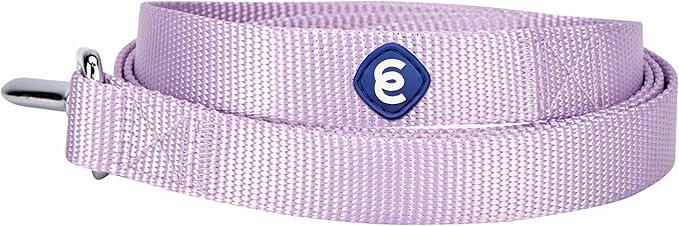 Blueberry Pet Essentials Matching Dog Collar and Leash Set in Lavender, Adjustable Classic Solid Color Nylon Collar with 4 ft Leash for Large Dogs