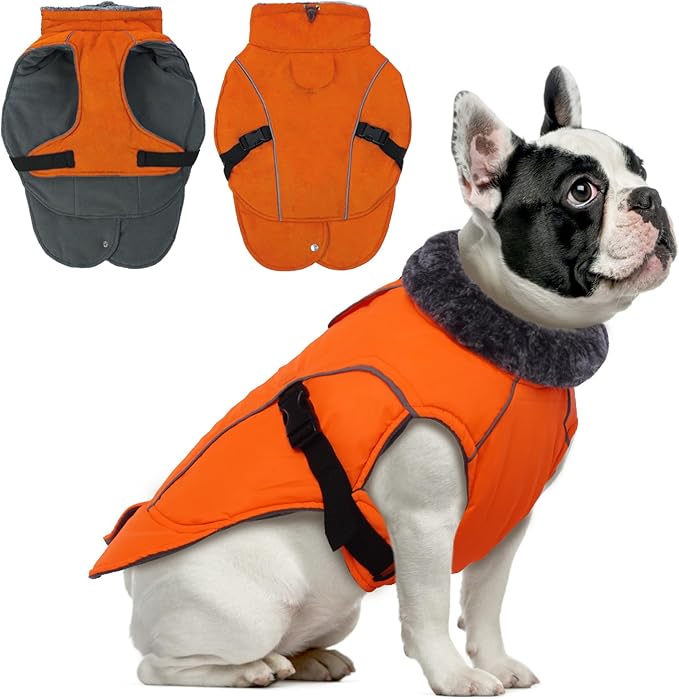 DENTRUN Winter Warm Dog Coat Reflective Jacket with Turtleneck for Cold Weather, Adjustable Buckle Windproof Water Repellent, Thick Snowsuit Fleece Vest for Small, Medium, Large Dogs, Orange, S