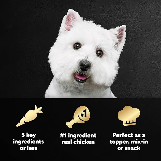 Cesar Simply Crafted Adult Wet Dog Food Meal Topper, Chicken, Sweet Potato, Apple, Barley & Spinach, 1.3 oz., 10 Count (Pack of 1)