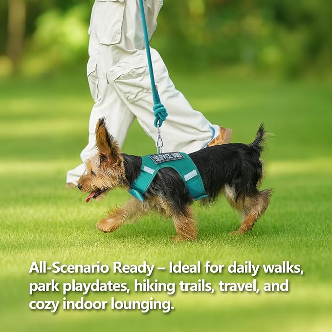 Dog Harness for Puppy – Adjustable Reflective Easy Put On Soft Mesh Vest for Small Dogs with 2 Patches (MARRS Green,XS)