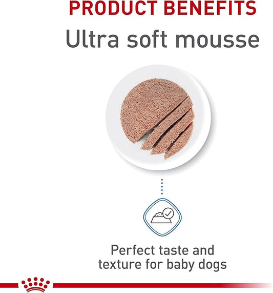 Royal Canin Size Health Nutrition Starter Mother & Babydog Mousse in Sauce Dog Food, 5.1 oz (Pack of 24)