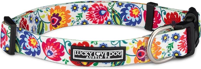 Lucky Love Dog - Adjustable Dog Collar with Easy Click Buckle for Small to Large Ones, Durable, & Comfortable for Male & Female Dogs, Pet Collar for Puppies & Adult Dogs - Ladybird, XS