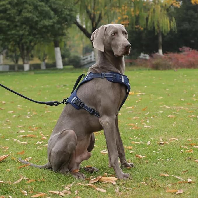 Dog Harness No Pull Adjustable Reflective,for Medium and Large Small Dog with Leash 59.06in (Dark Blue, XS)