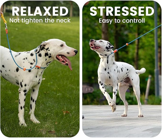 Slip Lead Dog Leash with Double Handles | Reflective Dog Training Leash with 360° Swivel Anti-Tangle | Heavy-Duty Leash and Collar for Large Medium and Small Dogs No-Pull Walking (Mint Green, 5.5FT)