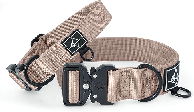 ROAM Made to ROAM Premium Dog Collar - Adjustable Heavy Duty Nylon Collar with Quick-Release Metal Buckle (Utah Glow, Size 4)