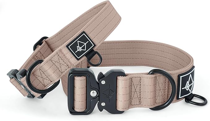 ROAM Made to ROAM Premium Dog Collar - Adjustable Heavy Duty Nylon Collar with Quick-Release Metal Buckle (Utah Glow, Size 1)
