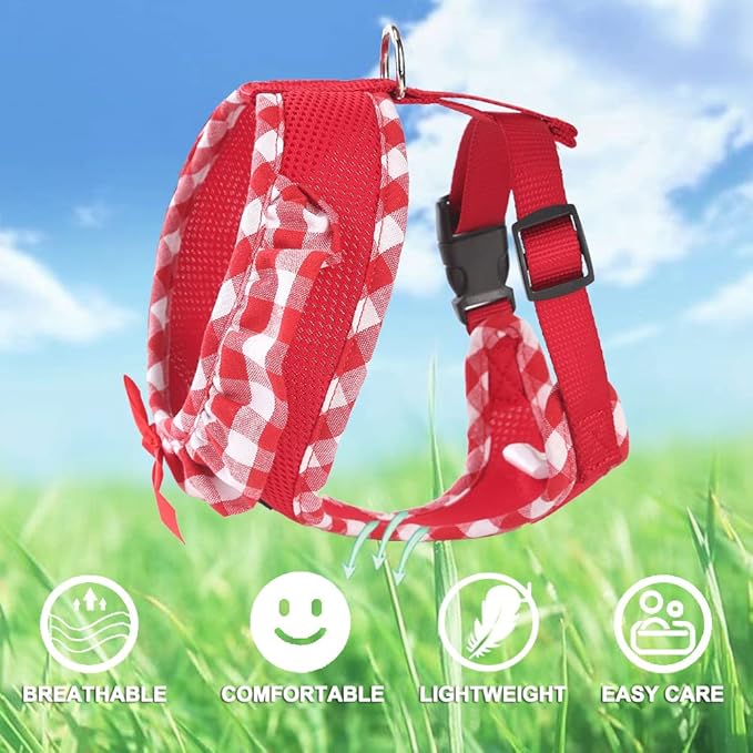 SuperBuddy Upgraded Soft Mesh Dog Harness, Super Breathable Lightweight Pet Harnesses for Puppy Dogs Outdoor Walking, Red Dog Harness and Dog Leash Set Packing -XSmall