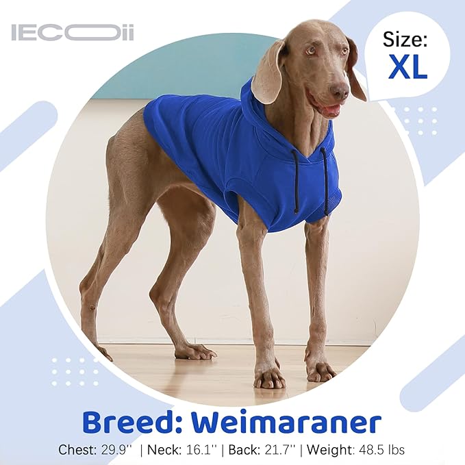 IECOii Medium Dog Sweatshirt with Hood, Spring & Fall Dog Clothes for Medium-Sized Dogs, Blue