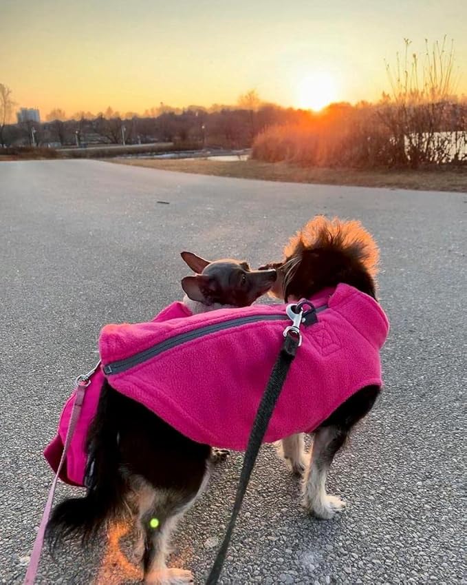 Gooby Zip Up Fleece Dog Sweater - Pink, Small - Warm Pullover Fleece Step-in Dog Jacket with Dual D Ring Leash - Winter Small Dog Sweater - Dog Clothes for Small Dogs Boy and Medium Dogs