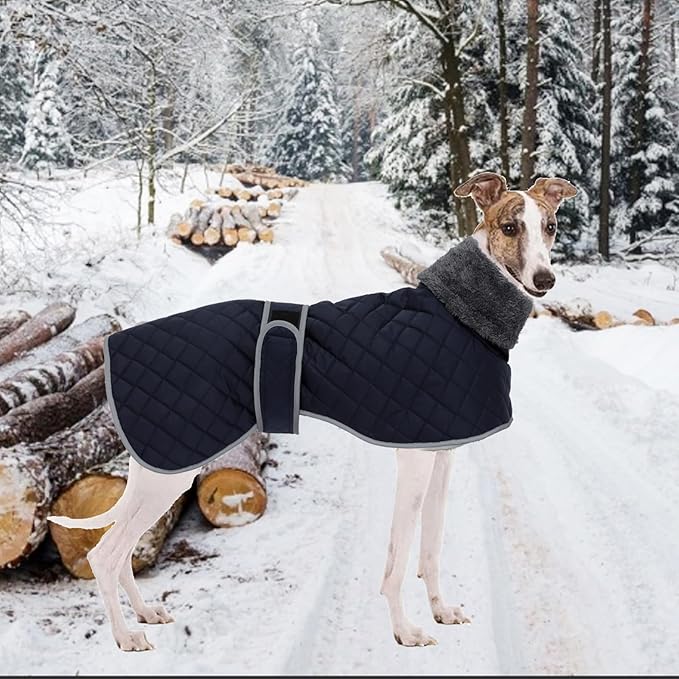Geyecete Greyhound Fleece Jumper,Greyhound Dog Winter Coat,Whippet Winter Coat Waterproof Windproof Outdoor Dog Apparel for Whippet Lurcher Salukis-Blue-L