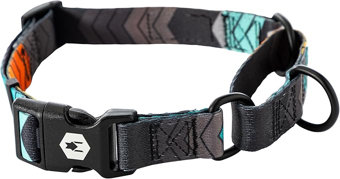 Wolfgang Heavy Duty Martingale Dog Collar with Quick Release Nylon Buckle for Walking & Training, ChevTech Print, Extra Large