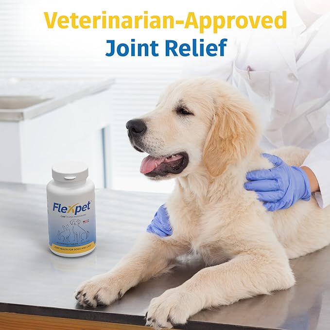 Hip & Joint Supplement for Dogs & Cats with Cetyl Myristoleate, Glucosamine, Collagen, MSM - Advanced Joint Support for Mobility, Senior Pets, Small & Large Breeds - 180 Tablets (Pork Liver)