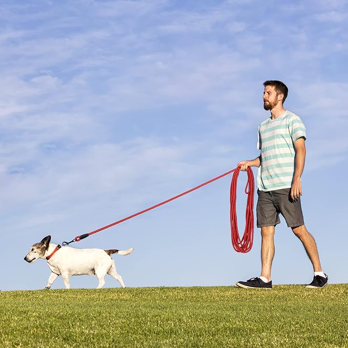 Long Dog Leash for Training 30Ft-Reflective Nylon Rope with Swivel Hook-Recall Agility Lead for Large Small Medium Dogs Outside Walking Hiking-Red