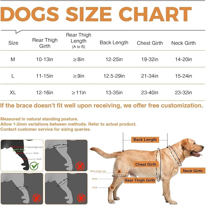 Dog Knee Brace for ACL/CCL Injuries,Torn Ligament,Pain Relief,Joint Warmth,Luxating Patella - Rear Leg Support,Black,Upgraded,Left Legs,Customized