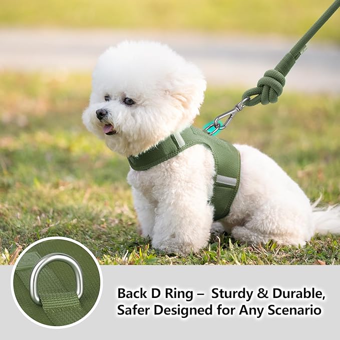 Dog Harness for Puppy – Adjustable Reflective Easy Put On Soft Mesh Vest for Small Dogs with 2 Patches (Misty Green,M)