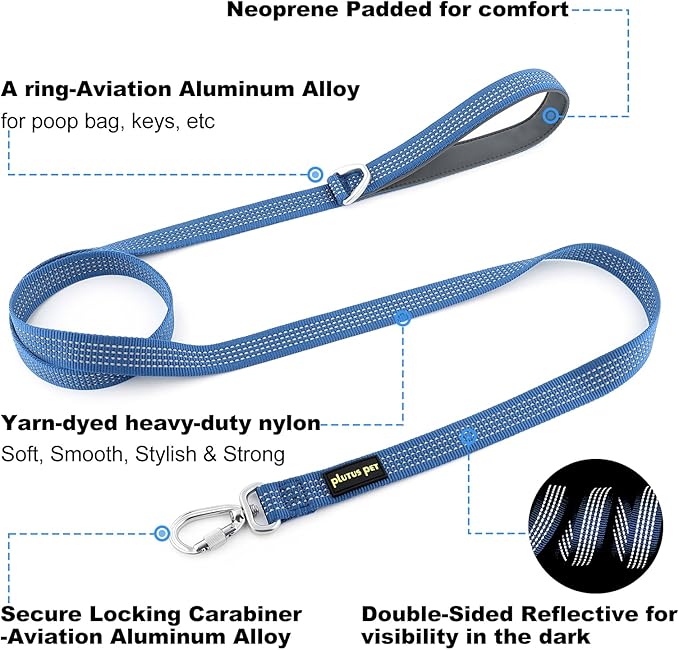Plutus Pet Heavy Duty Dog Leash with Lockable Aluminum Carabiner, 4/6 Feet Long, Double-Sided Reflective Nylon, Padded Handle, for Puppy, Small, Medium and Large Dogs (Blue, 4/5" x 6')