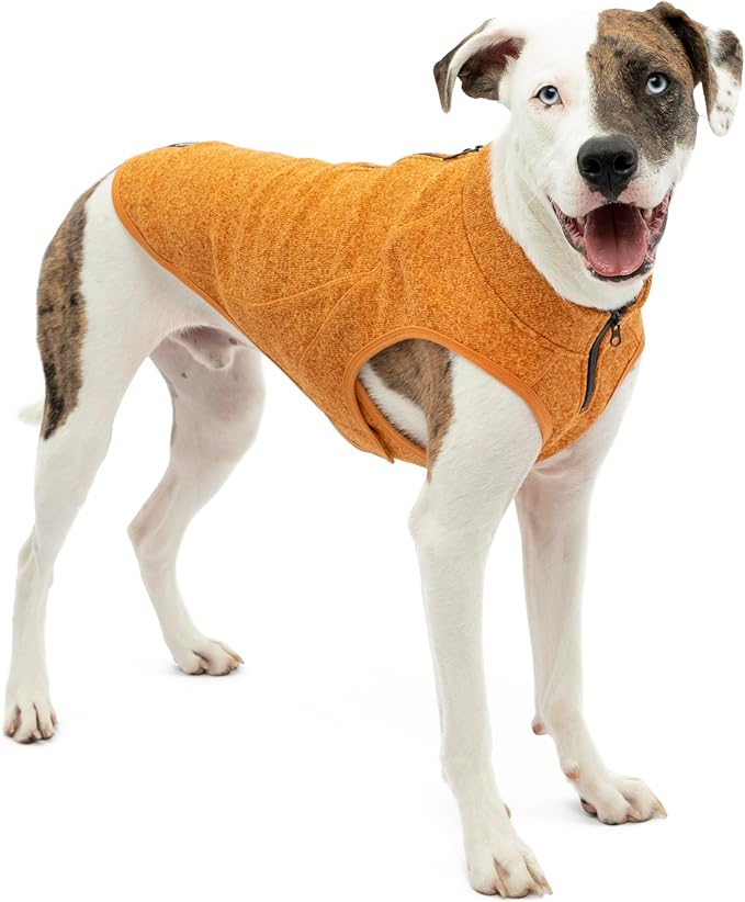 Kurgo Core Dog Sweater, Knit Dog Sweater With Fleece Lining, Cold Weather Pet Jacket, Zipper Opening for Harness, Adjustable Neck, Year-Round Sweater for Medium Dogs (Heather Orange, Medium)