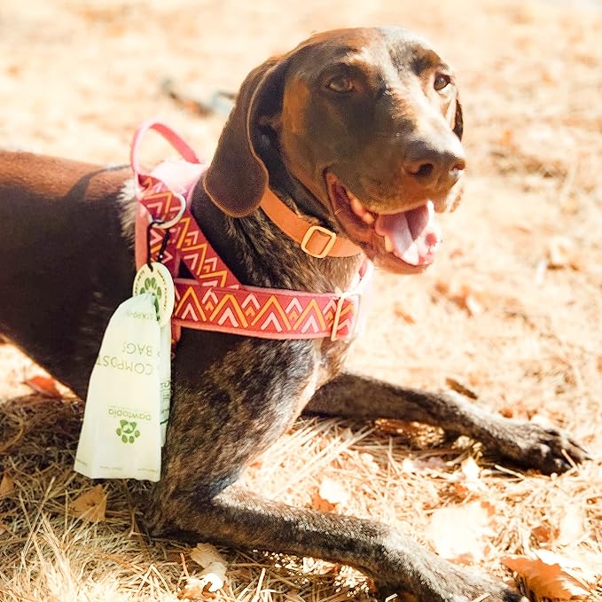 Pawtria Certified Home Compostable Dog Poop Bags (120) + Pink Poop Bag Carrier, Biodegradable Poop Bags, Vegetable Starches, Leak proof Dog Waste Bags, Light-weight silicone made bag carrier