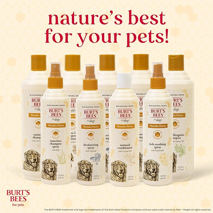 Burt’s Bees for Pets Deodorizing Dog Spray with Manuka Honey and Charcoal for Dogs - Naturally Derived Ingredients, Formulated Without Artificial Fragrances, Sulfates, Colorants, 10 Fl Oz