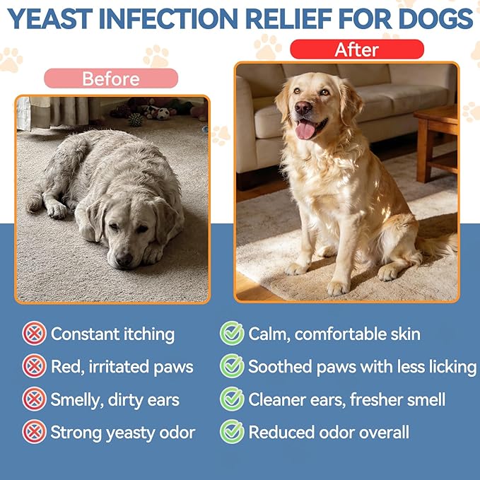 Natural Yeast Relief for Dogs, Support Healthy Itch Relief, Ear Paw Discomfort Care, Itch Relief for Dog, Allergy Supports, Inflammation Relief for Dogs, 60ml Bacon Flavor