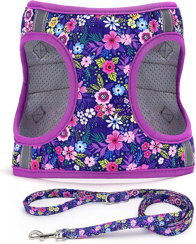 Moonpet Step in Dog Harness Leash Set- All Weather Reflective No-Pull Floral Pattern Padded Mesh Vest Harness for Cats Puppy Extra-Small Small Medium Large Dogs - Dark Flower - S