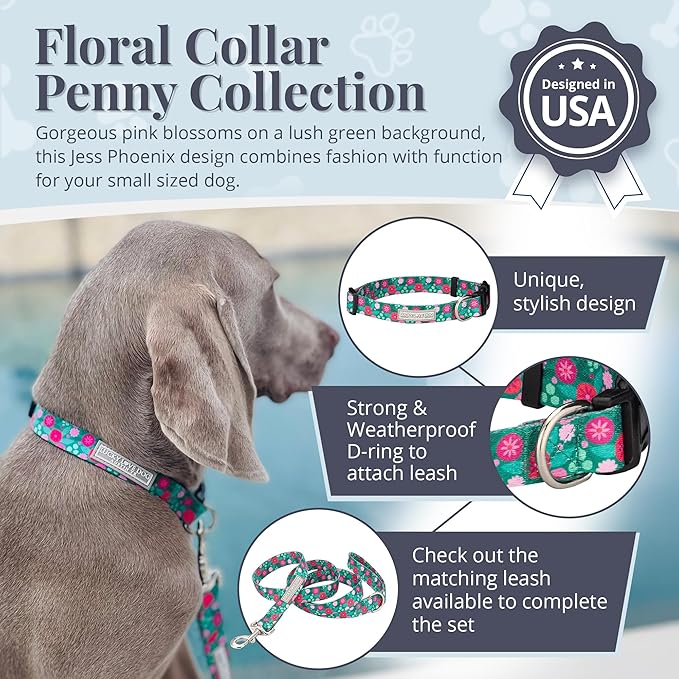 Lucky Love Dog - Adjustable Dog Collar with Easy Click Buckle for Small to Large Dogs, Durable, & Comfortable for Male & Female Dogs, Pet Collar for Puppies & Adult Ones - Penny, Small