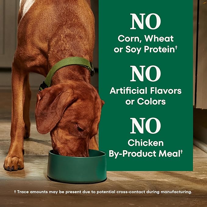 Nutro Natural Choice Lamb & Brown Rice Senior Dog Food Dry Recipe, 30 lb. Bag