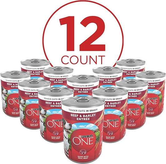 Purina ONE Natural Wet Dog Food Gravy, Tender Cuts in Gravy Beef and Barley Entrée - 13 Ounce (Pack of 12)