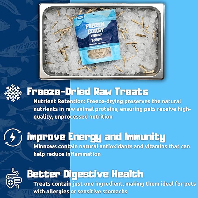 Frozen Coast Freeze-Dried Minnows Dog and Cat Treats-Single-Ingredient, All-Natural Fish, Grain-Free, High Protein Pet Treats, Sourced in The USA - 2.5 oz Bag