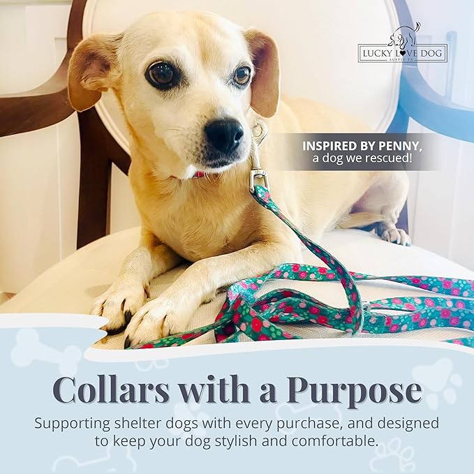 Lucky Love Dog - Adjustable Dog Collar with Easy Click Buckle for Small to Large Dogs, Durable, & Comfortable for Male & Female Dogs, Pet Collar for Puppies & Adult Ones - Penny, XS