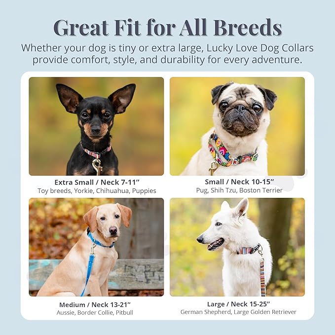 Lucky Love Dog - Adjustable Dog Collar with Easy Click Buckle for Small to Large Ones, Durable, & Comfortable for Male & Female Dogs, Pet Collar for Puppies & Adult Dogs - Laguna, Large