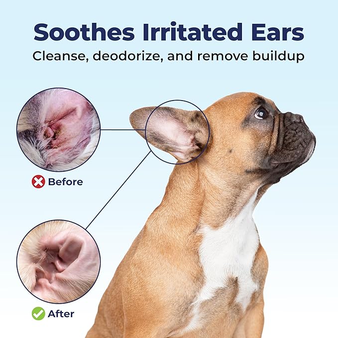 Vetnique Oticbliss Cat & Dog Ear Wipes - Dog Ear Infection Treatment or Dog Ear Cleaner Wipes for Dirty, Waxy, Smelly Dog Ears, Odor Control with Aloe Vera & Salicylic Acid (Finger Mitt Ear Wipes)
