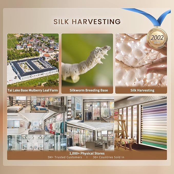 THXSILK Silk Sheet Set 4Pcs, 6A+ Top Grade 100% Pure Mulberry Silk Bed Sheets Ultra Soft Durable Luxury Bedding Sets Cooling, 1 Fitted Sheet, 1 Flat Sheet and 2 Pillowcases (Twin-XL, Purple)