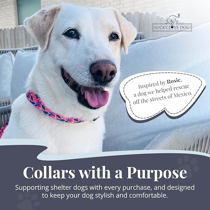 Lucky Love Dog - Adjustable Dog Collar with Easy Click Buckle for Small to Large Ones, Durable, & Comfortable for Male & Female Dogs, Pet Collar for Puppies & Adult Dogs - Rosie, Medium