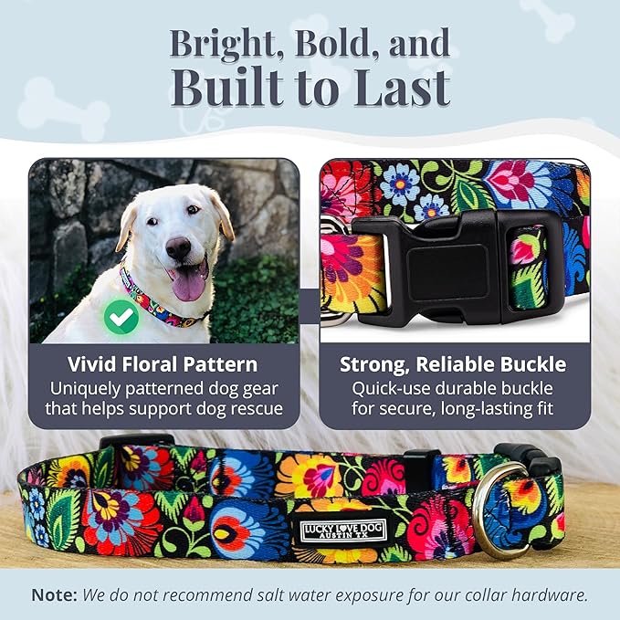 Lucky Love Dog - Adjustable Dog Collar with Easy Click Buckle for Small to Large Ones, Durable, & Comfortable for Male & Female Dogs, Pet Collar for Puppies & Adult Dogs - Blackbird, Extra Large