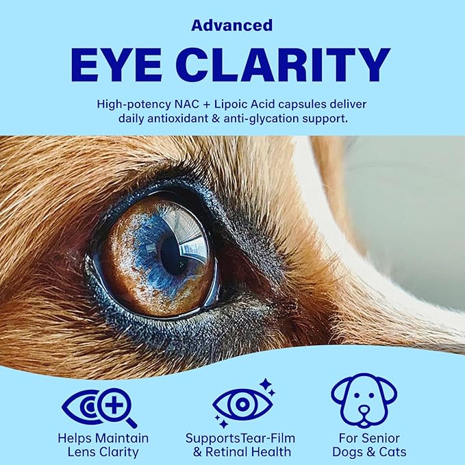 Eye Supplements for Dogs - Vision Support Soft Chews with Lutein, DHA & Vitamin C | 120ct Salmon Flavor Tear Stain Chews | Cataract & Dry Eye Relief Supplement (90 Ct)